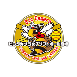 ビックカメラ高崎 ビークイーン